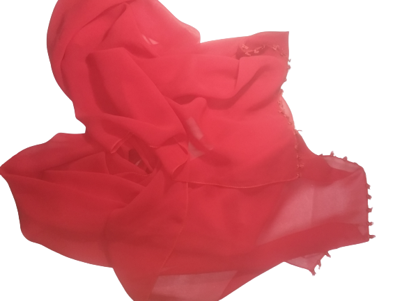 20201024_150847-removebg-preview.png