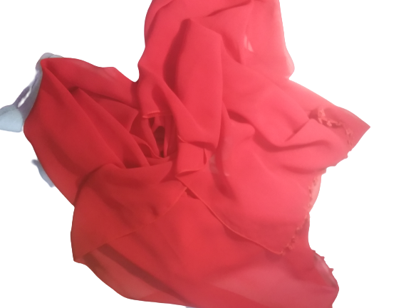 20201024_150832-removebg-preview.png